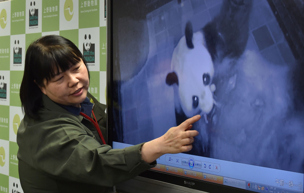 Ueno Zoological Gardens official Mikako Kaneko shows images of the birth of a baby panda during a press conference in Tokyo on June 12, 2017. (Photo:AFP: Kazuhiro Nogi)