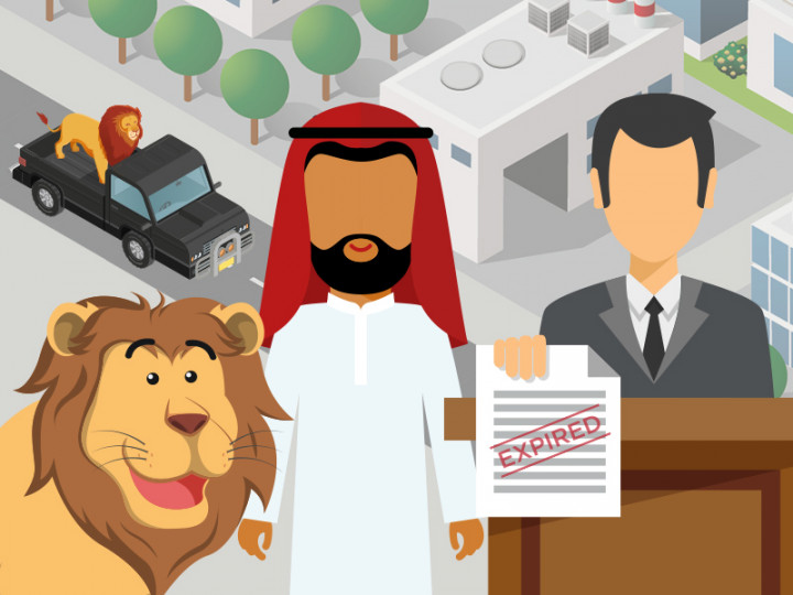 Infografik: Bikin Panik, Pria Bawa Singa di Pikap