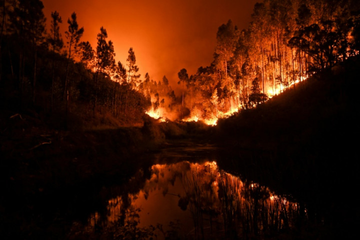 Raging Forest Fires Kill 62 in Portugal
