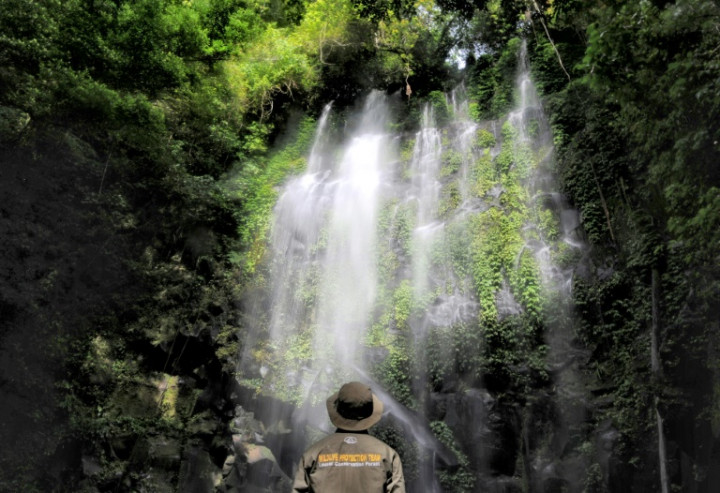 Religious Leaders Join Forces to Protect Rainforests