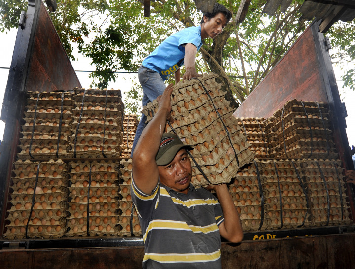 Harga Telur Ayam Diprediksi Stabil