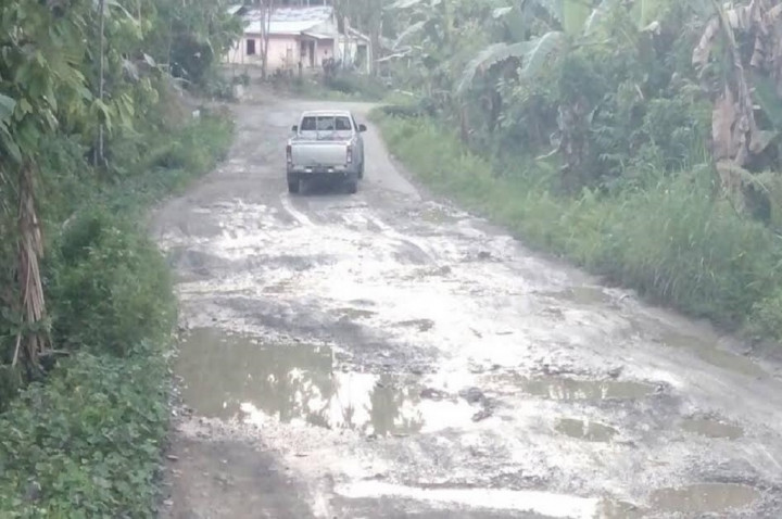 Jalur Mudik di Nias Berlubang dan Tergenang