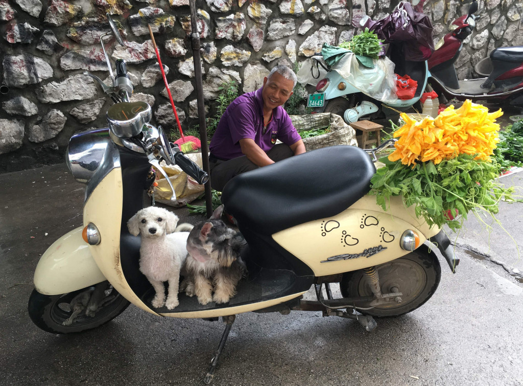 A man sits behind his pet dogs near a restaurant which serves dog meat in Yulin, in China's southern Guangxi region on June 21, 2017. (Photo:AFP/Becky Davis)