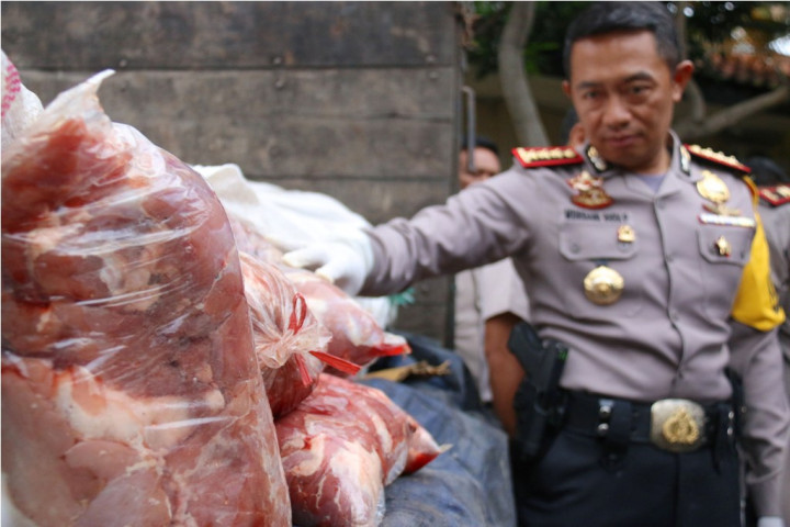 Polisi Sita 2 Ton Daging Celeng di Bandarlampung
