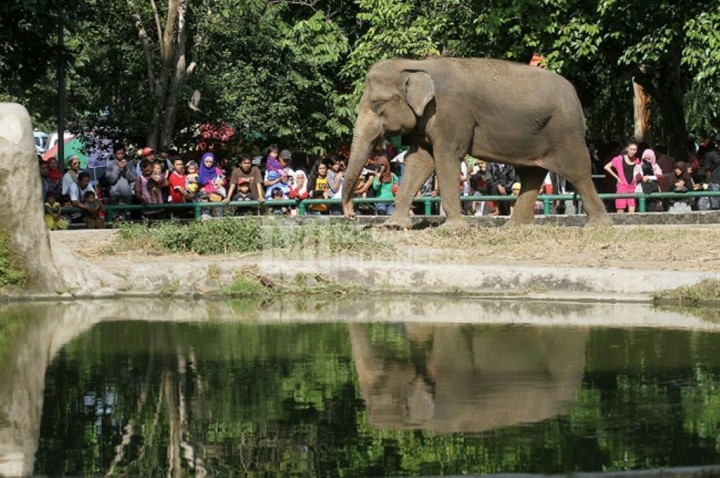 350 Personel Berjaga di Kebun Binatang Ragunan
