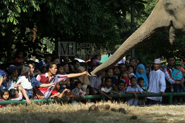 25 Bocah Terpisah dari Orangtuanya di Kebun Binatang Ragunan