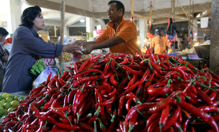 Harga Cabai Kembali Melonjak di Pesisir Selatan