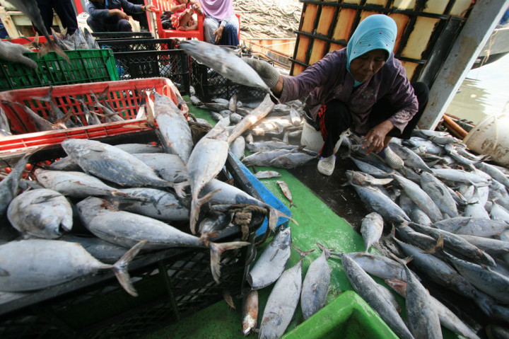 Masyarakat Negara Maritim Harus Gemar Makan Ikan