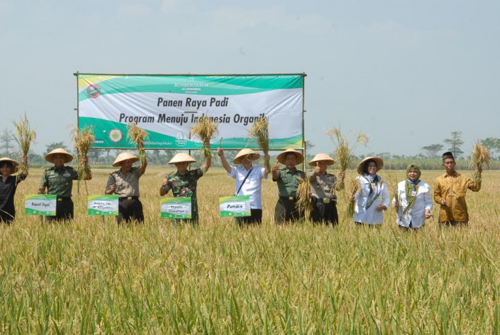 Pupuk Organik Bikin Tegal Surplus Padi