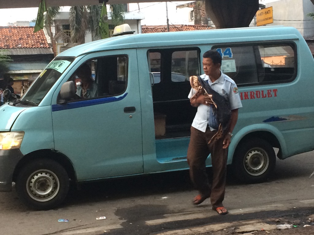 Angkot M44 trayek Karet-Kampung Melayu. Foto: Metrotvnews.com/Juven Martua 