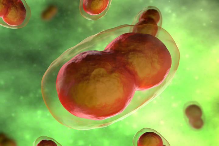 Ilmuwan Berhasil Bangkitkan Kembali Virus yang Sudah Punah