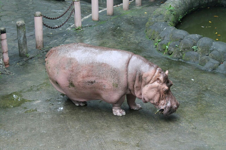 Bertha (Photo:AFP/PETA)
