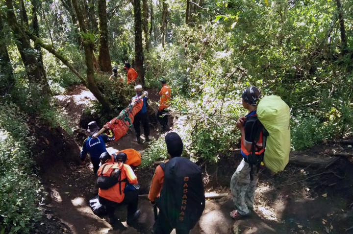 Pendaki Jatuh di Gunung Slamet Ditemukan Selamat