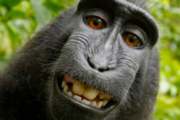 Fotografer Dituntut Karena Foto Selfie Kera