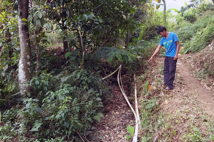 35 Hektare Sawah di Batang Terancam Kekeringan