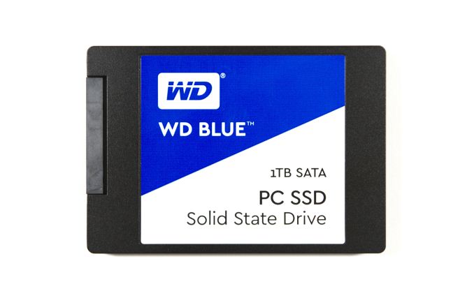 Seperti Apa Performa SSD WD Blue 1TB?