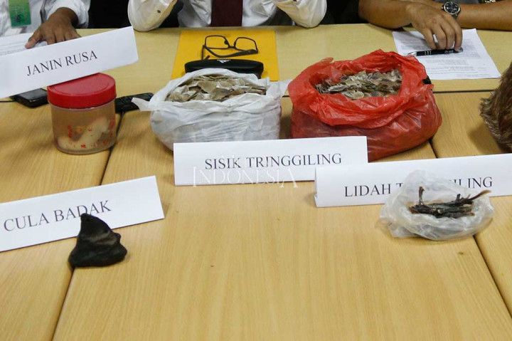 Polisi Gagalkan Perdagangan Organ Satwa Dilindungi