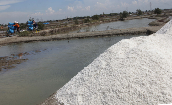 Naikkan Produksi Garam, Pemerintah Pasrah pada Cuaca
