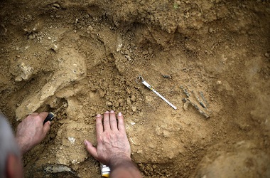 Bocah SD Temukan Fosil Berusia Satu Juta Tahun