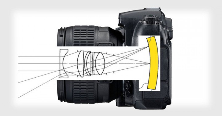 Nikon Siapkan Mirrorless Pakai Sensor Lengkung?