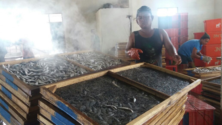 Ikan Asin tak Lagi Masin