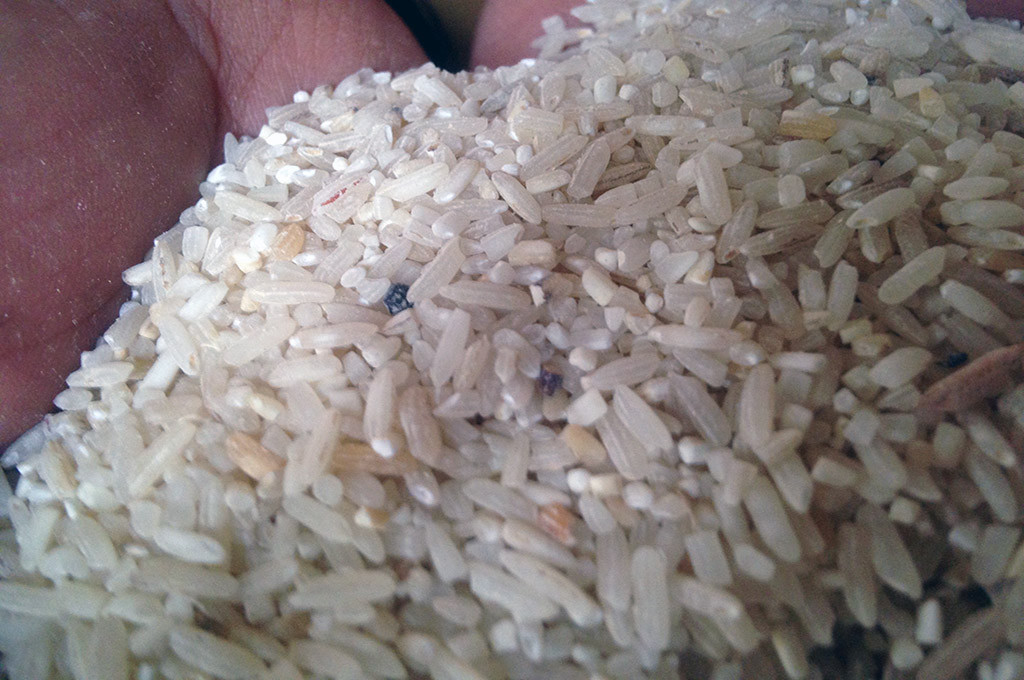 Rasta tak layak konsumsi yang diterima warga Kecamatan Bareng dan Wonosalam, Kabupaten Jombang, Jawa Timur -- MTVN/Nurul Hidayat