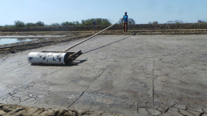 Nelayan Brebes Banting Setir jadi Petani Garam