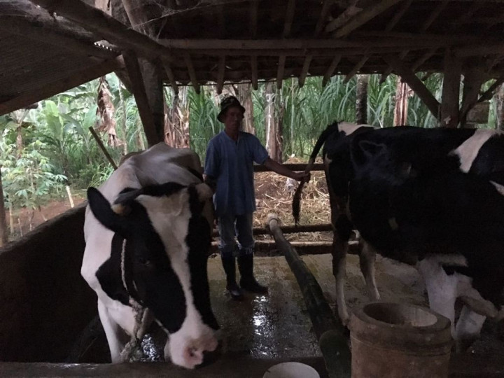 Dompet Dhuafa Hadirkan Kurban via Daring