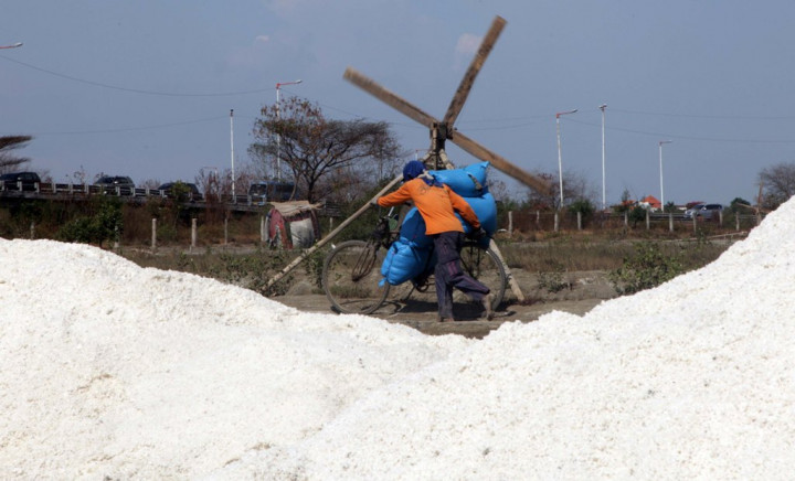 Atasi Kompleksitas Garam, Kinerja PT Garam Harus Dioptimalkan