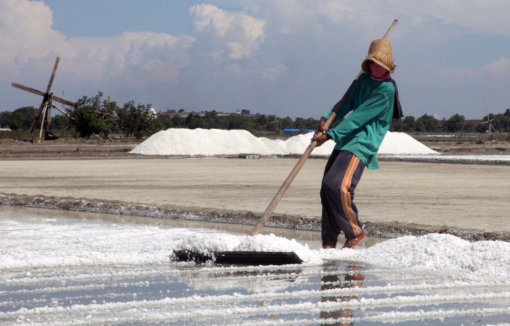 Ilustrasi petani garam. (MI/Gino F hadi)