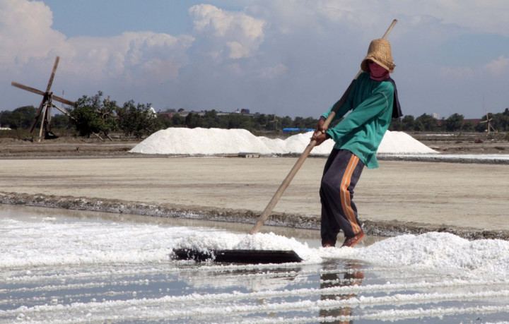 Faktor Cuaca Penyebab Petani Garam Tidak Produksi