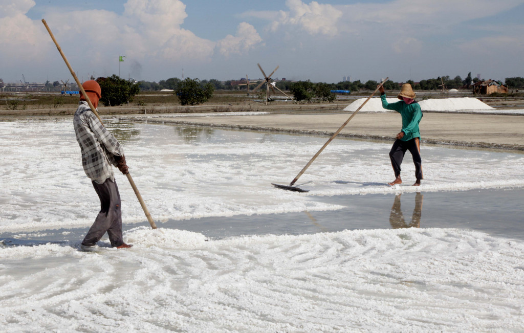  Petani garam memanen garam dari kolam kolam di Kecamatan Panceng, Gresik, Jawa Timur, Sabtu (29/10/2011). Foto: MI/Gino F Hadi