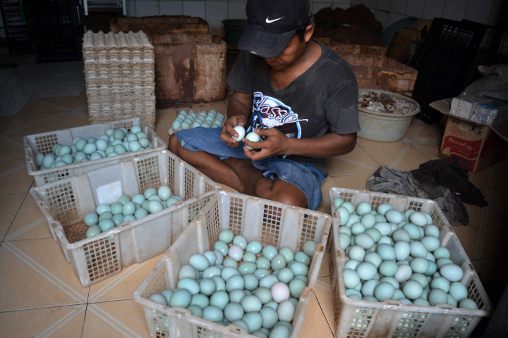 Bekraf Dorong Telur Asin Brebes Tembus Pasar Internasional