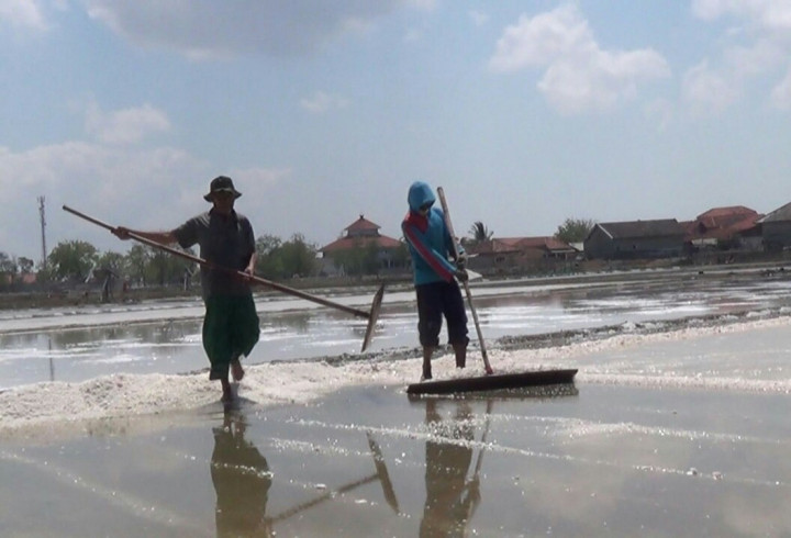 Petani: Impor Garam Jangan Banyak-banyak