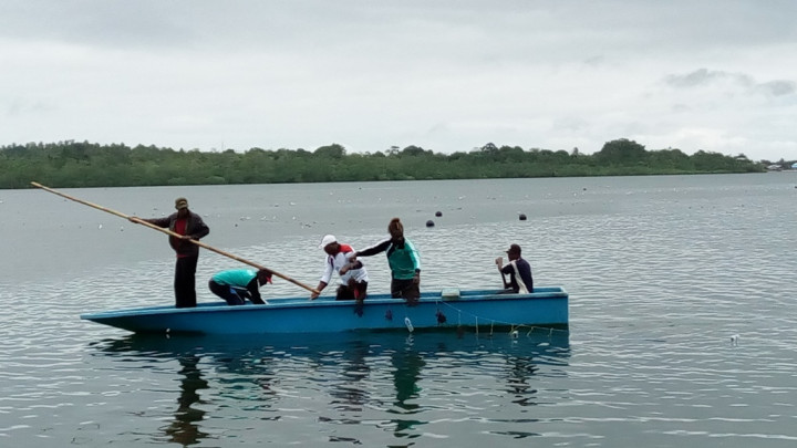 Warga Kepulauan Solomon Belajar Kelola Produk Rumput Laut dari RI