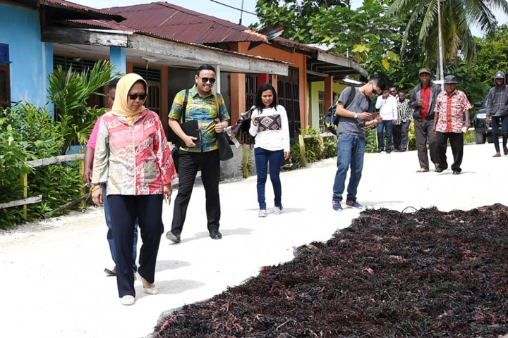 Kepulauan Solomon Belajar Kembangkan Produk Rumput Laut Bernilai Jual