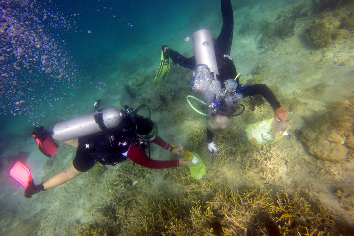 Gerakan Aksi Bersih Pulau