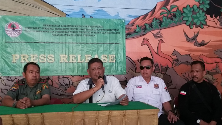 Jerat Hukum Perdagangan Satwa tak Maksimal