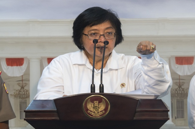 Environment and Forestry Minister Siti Nurbaya Bakar (Photo:Ant)