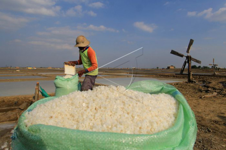 Simalakama Petani Garam