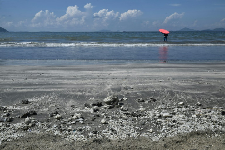 Hong Kong Cleans Up Greasy Beaches After Palm Oil Spill