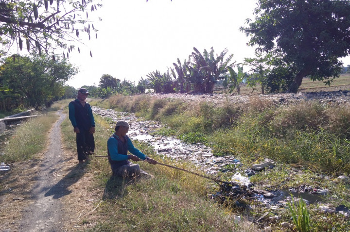 Sampah Menumpuk, Petani di Sidoarjo tak Bisa Panen