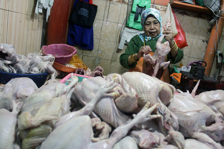 Harga Ayam Potong di Medan Terus Merangkak Naik