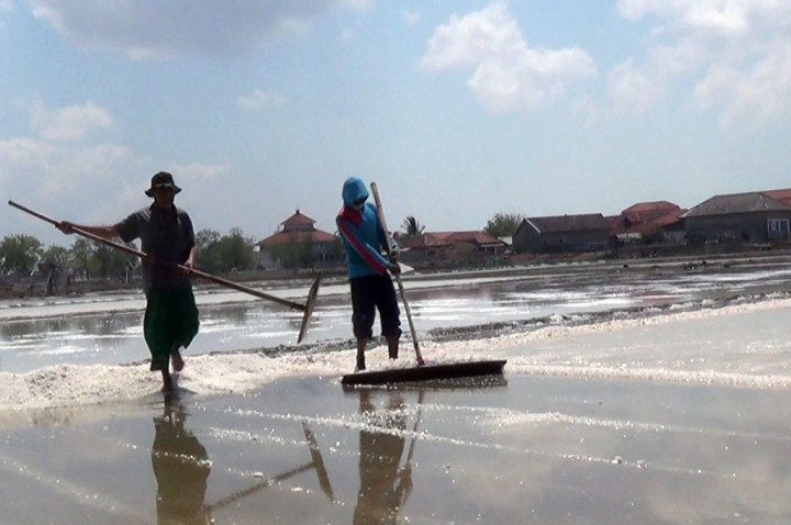 Harga Garam di Sumenep Anjlok