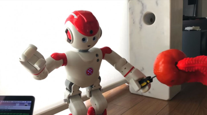 Setelah Dibobol, Peneliti Sulap Robot Pembantu Rumah Jadi Chucky