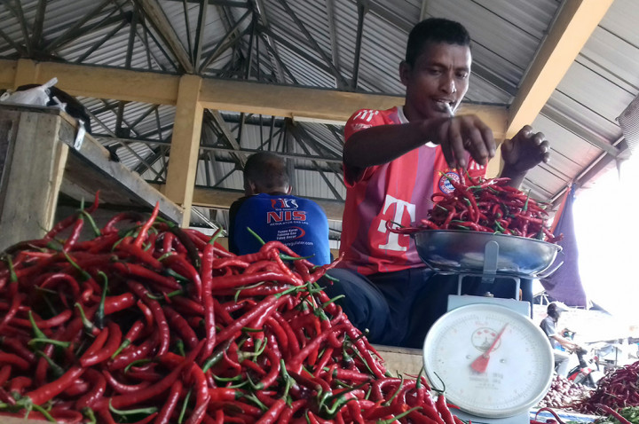 Harga Cabai Merah di Medan Bergerak Turun