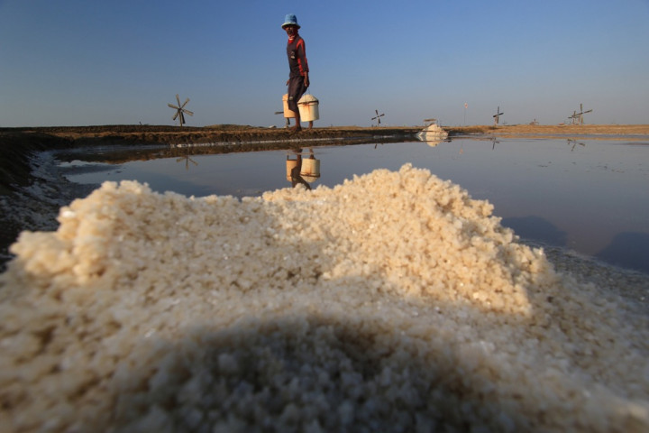 PT Garam Proyeksikan NTT dan NTB jadi Produksi Garam Nasional