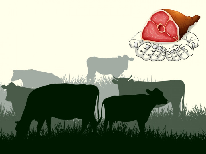 Panggilan Berqurban di Hari Raya Idul Adha