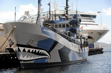 Sea Shepherd Berhenti Kejar Kapal Penangkap Ikan Paus Jepang