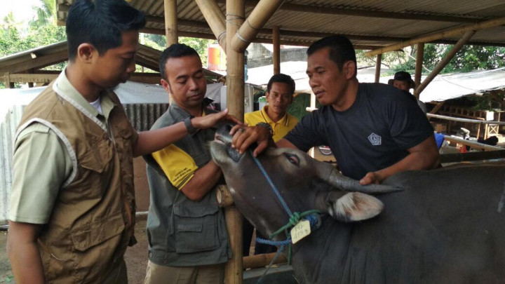 Pemkot Tangsel Monitor Lapak Penjual Hewan Kurban
